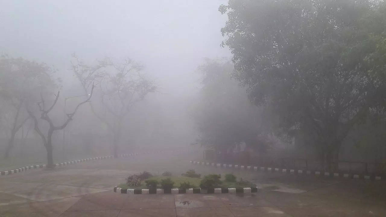 fog-in-Delhi.