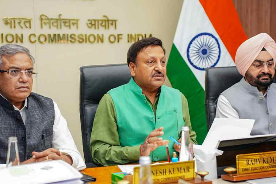 OPPOSITION GRILLED ECI