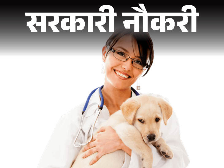 Veterinary Officers