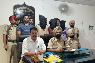 pspcl employee held
