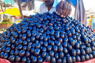 jamun