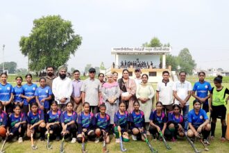 S.D. Phullarwan School