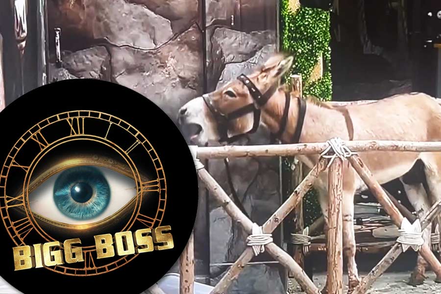 Bigg Boss 18