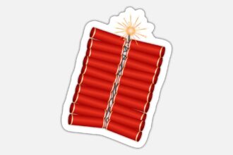 Firecrackers Ban