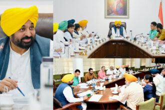 Punjab Cabinet