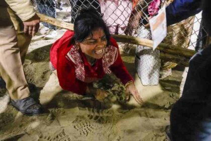 kumbh stampede