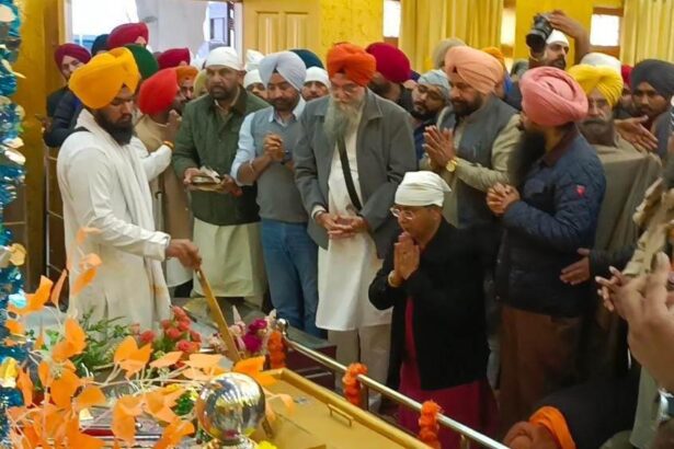 Maghi