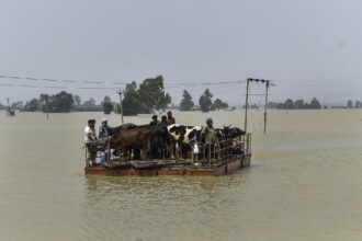 PUNJAB FLOODS