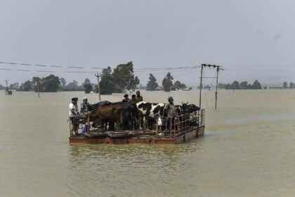 PUNJAB FLOODS