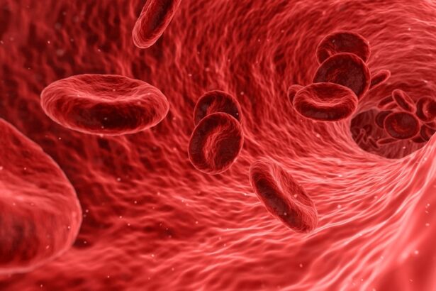 period blood