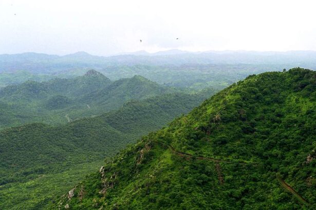 Aravalli
