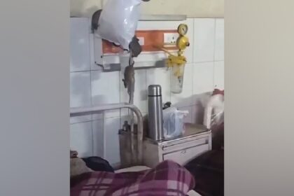 Gonda Medical college