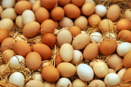 Real or Fake eggs : कैसे पता लगाएं अंडे असली हैं या फिर नकली