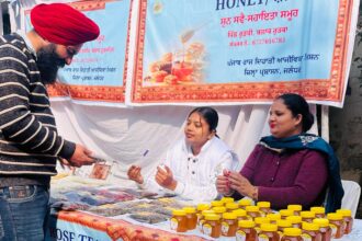 punjab sakhi shakti mela