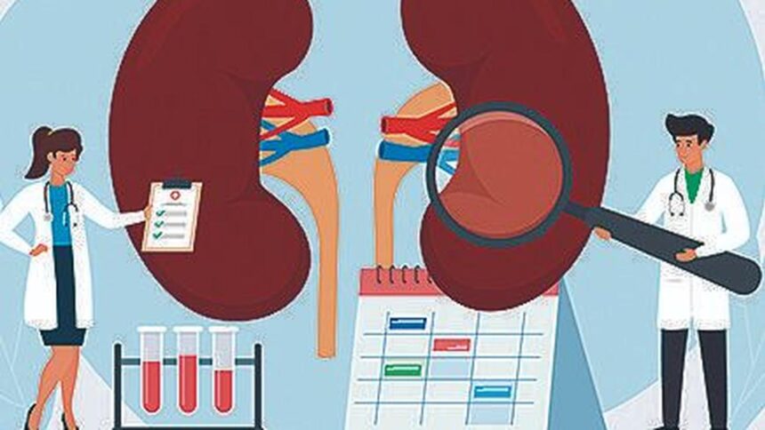 Kidney Racket :