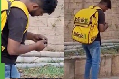 zombie drugs युद्ध नशे विरुद्ध फेल