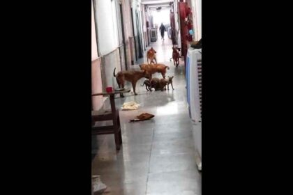 Lady Hardinge Medical College (LHMC) : हॉस्टल के खाने में बाल, कीड़े-मकोड़े और इल्लियाँ