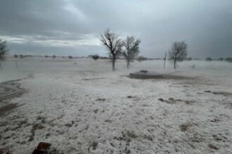 Hailstorm In Rajasthan: रेगिस्तान में बर्फ़; फसलें खराब, लोग चिंतित
