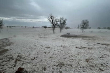 Hailstorm In Rajasthan: रेगिस्तान में बर्फ़; फसलें खराब, लोग चिंतित
