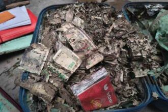 Termite ate cash: दीमक खा गए दो ट्रॉली बैग में भरे लाखों रुपए