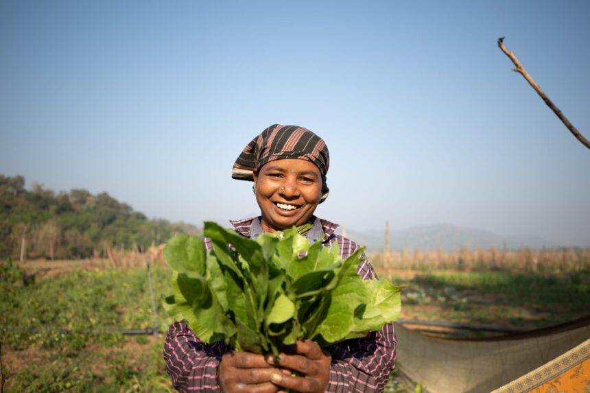 PUNJAB में मुफ्त ऑनलाइन कौशल ट्रेनिंग के लिए रजिस्ट्रेशन शुरू, 9056920100 can help