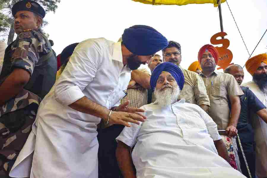 punjab election