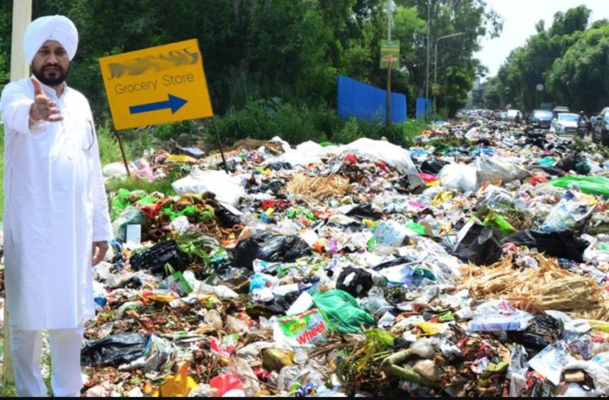 Garbage Crisis Photo Credit - Malkiat Singh (Tribune)