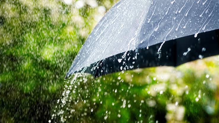 WEATHER UPDATE : पंजाब समेत कई राज्यों में भारी बारिश का अलर्ट