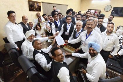 DBA Jalandhar election : प्रधान पद के लिए त्रिकोणीय मुकाबला, 5 महिला एग्जीक्यूटिव में 3 का जीतना तय