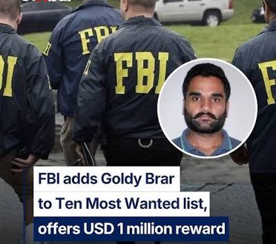 Gangster Goldy Brar FBI की 10 मोस्ट वांटेड भगोड़ों लिस्ट में, पकड़वाने वाले को 100 करोड़ इनाम