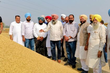 PUNJAB: धान खरीद में 4,000 करोड़ रु. के घोटाले का आरोप, लुटेरे दिल्ली के : परगट सिंह